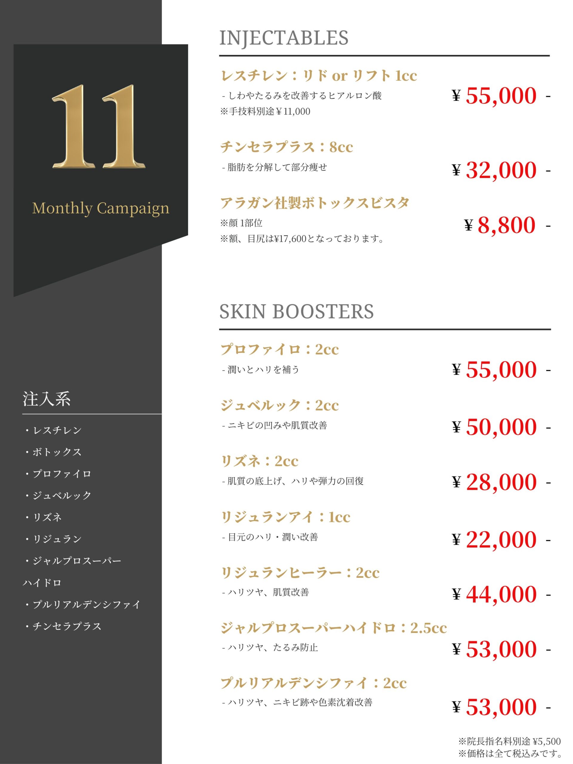 11月 注入系メニュー