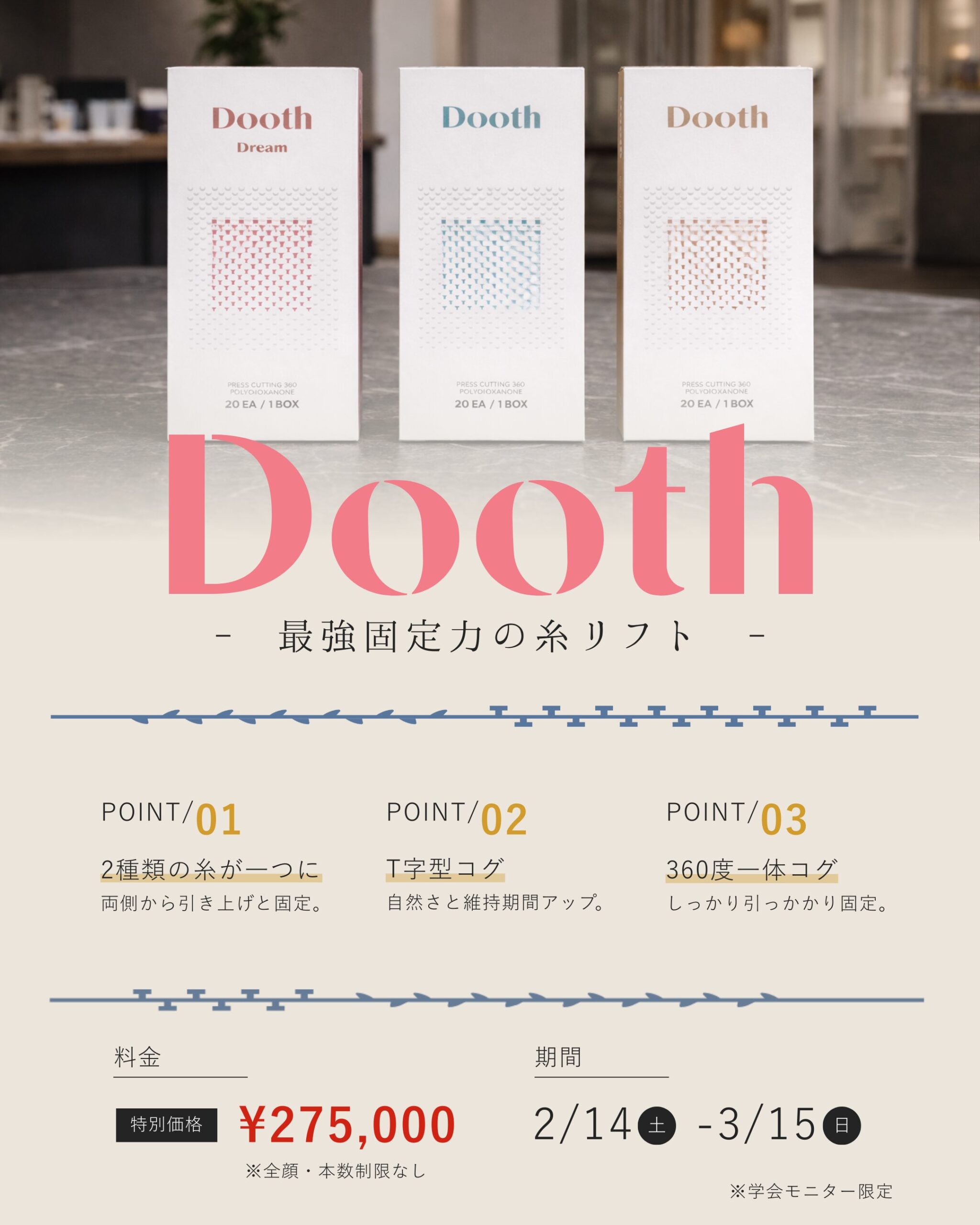 単独キャンペーン  2/14(土) – 3/15(日)