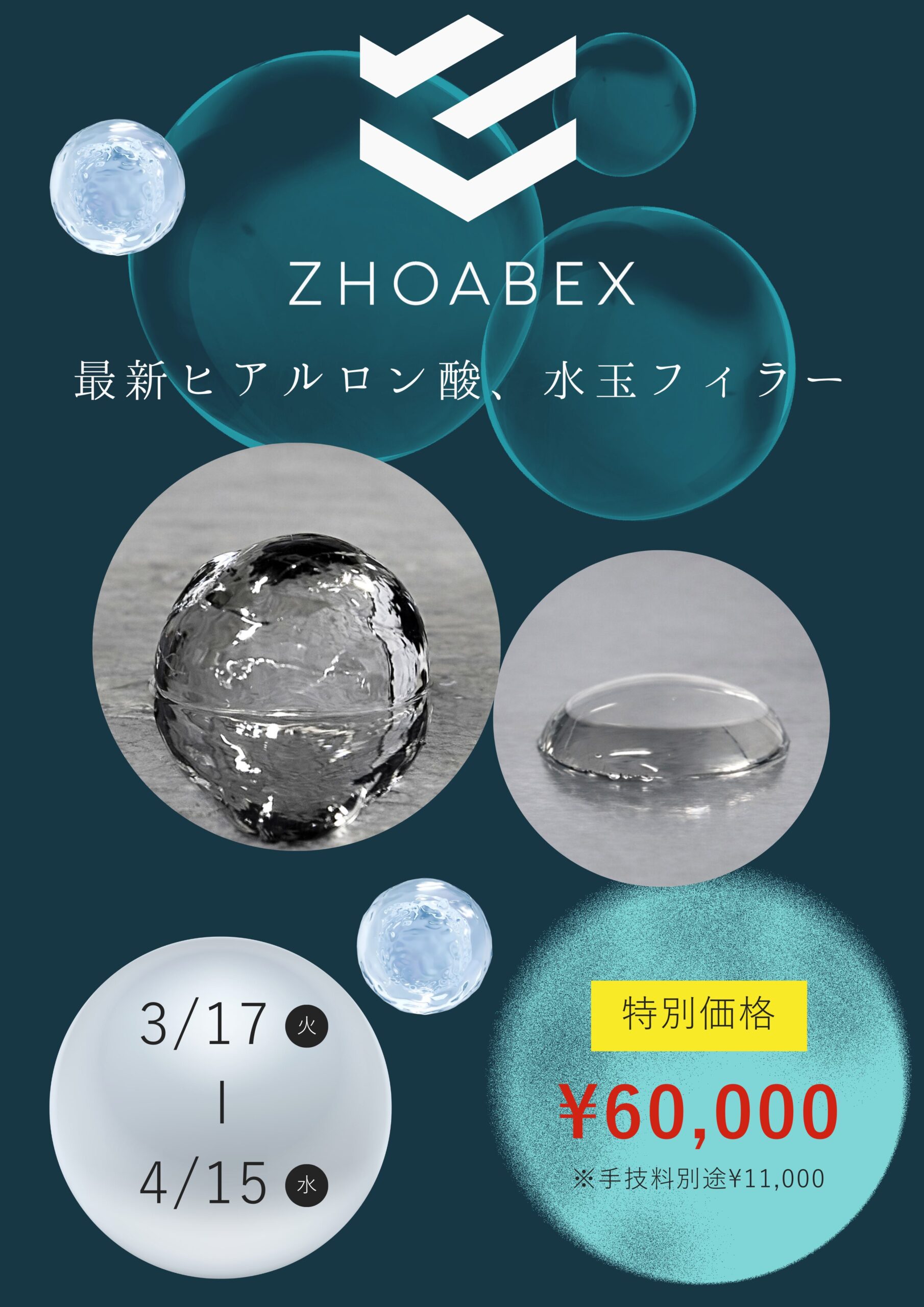 単独キャンペーン  3/17(火) – 4/15(水)